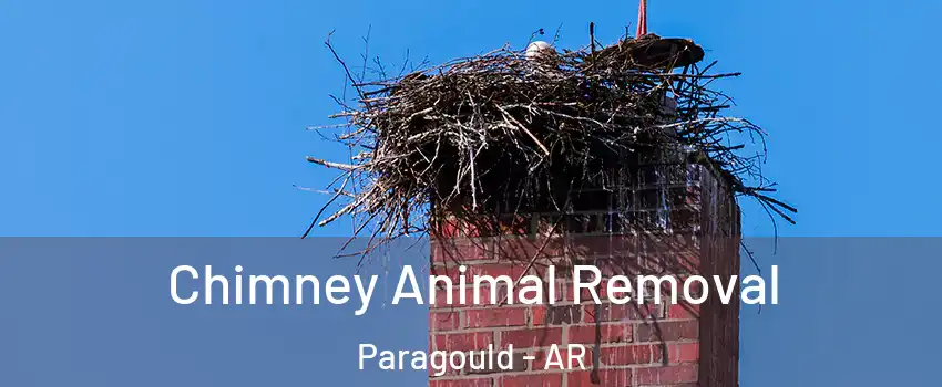 Chimney Animal Removal Paragould - AR