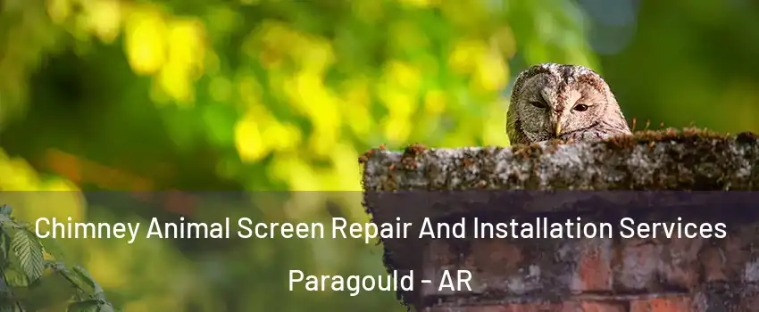  Chimney Animal Screen Repair And Installation Services Paragould - AR