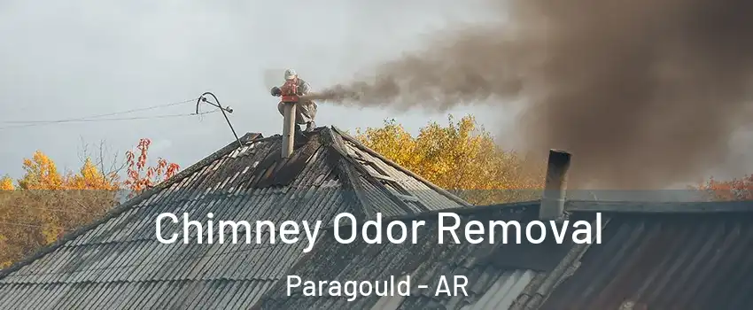  Chimney Odor Removal Paragould - AR