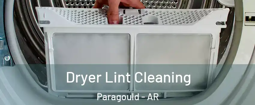  Dryer Lint Cleaning Paragould - AR