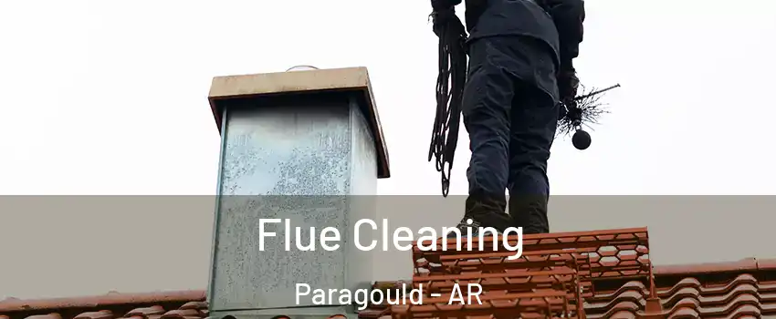  Flue Cleaning Paragould - AR