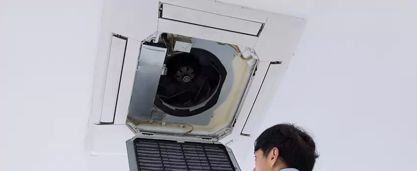 Benefits of Professional Air Duct Cleaning in Paragould, Arkansas