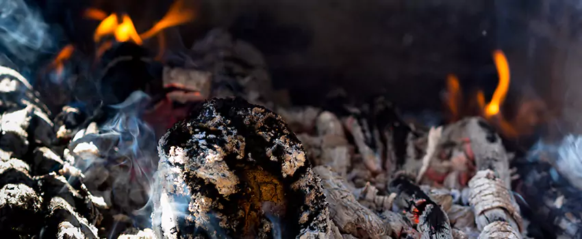 Creosote Removal Experts in Paragould, AR